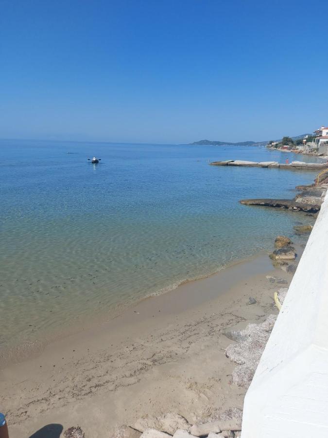 Aparthotel Pansion Alexandros By The Sea Nea Skioni Exterior foto